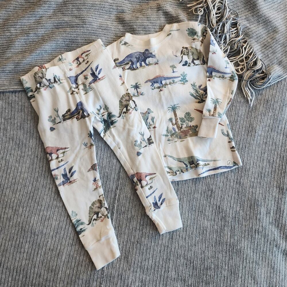 Little Planet Organic Cotton Dinosaurs Print PJs